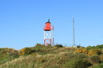 Der Kuckucksturm